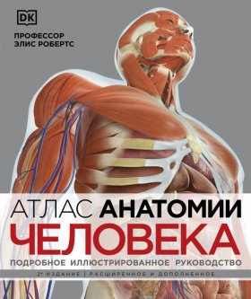Атлас анатомии человека( DK). Подробное иллюстрированное руководство