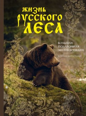Жизнь русского леса (издание дополненное и переработанное) (медведь)