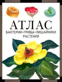 Бактерии, грибы, лишайники, растения: атлас. 4-е изд. Черепанов И.В.