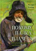 По кому палка плачет? Рассказы о рязанских юродивых. 2-е изд. Евсин И.В.