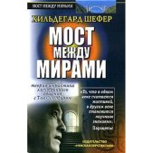 Мост между мирами.Теория и практика электронного общения с Тонким Миром