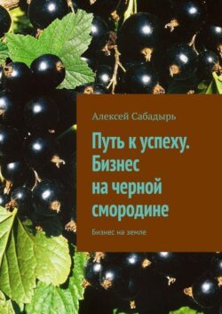 Путь к успеху. Бизнес на черной смородине. Бизнес на земле