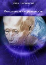 Феноменальная реальность