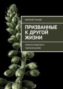 Призванные к другой жизни. Прикосновение к тайнознанию