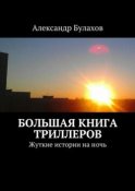 Большая книга триллеров. Жуткие истории на ночь