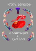 Медитация с камнем