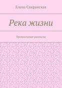 Река жизни. Тривиальные рассказы