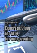 Expert advisor for MT4 for one evening