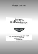 Дорога к крылышкам. Как новый репатриант стал израильским лётчиком