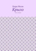 Крыло. Часть первая