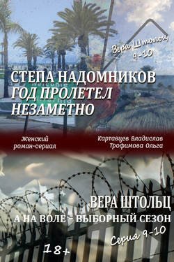 Степа Надомников. Жизнь на чужбине. Год пролетел незаметно. Вера Штольц. А на воле – выборный сезон. Серия 9–10 (сборник)