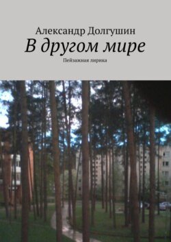 В другом мире