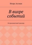 В вихре событий. Остросюжетный триллер