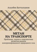 Метан на транспорте. Проблемы, задачи и перспективы развития рынков компримированного природного газа