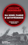 На коне, танке и штурмовике. Записки воина-философа