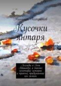 Кусочки янтаря. Легенды о Гоги Абашидзе, а также некоторые истории и притчи, придуманные им самим