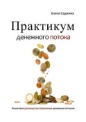 Практикум денежного потока. Пошаговое руководство управления денежным потоком