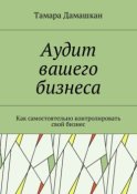 Аудит вашего бизнеса. Как самостоятельно контролировать свой бизнес