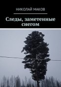 Следы, заметенные снегом