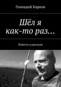 Шёл я как-то раз… Повести и рассказы