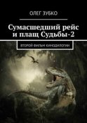 Сумасшедший рейс и плащ Судьбы – 2. Второй фильм кинодилогии