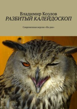 Разбитый калейдоскоп. Современная версия «На дне»