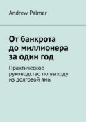 От банкрота до миллионера за один год. Практическое руководство по выходу из долговой ямы