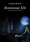 Вселенная 324. Калейдоскоп осколков империи