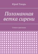 Поломанная ветка сирени. Стихи и рассказы