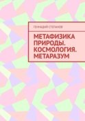 Метафизика природы. Космология. Метаразум