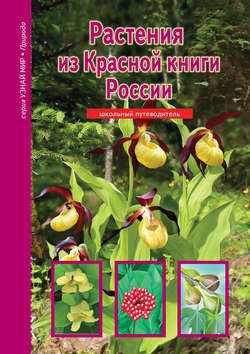 Растения из Красной книги России