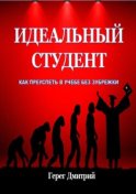 Идеальный студент. Как преуспеть в учебе без зубрежки