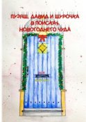 Пузяш, Давид и Шурочка в поисках новогоднего чуда