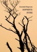 Кормить птиц