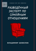 Разведённый эксперт по семейным отношениям. Роман не без юмора