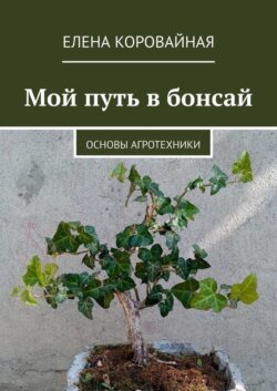 Мой путь в бонсай. Основы агротехники