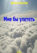 Мне бы улететь