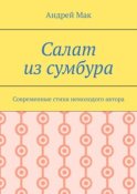 Салат из сумбура. Современные стихи немолодого автора