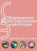 Энциклопедия «Биология» (без иллюстраций)