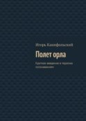 Полет орла. Краткое введение в терапию осознаванием