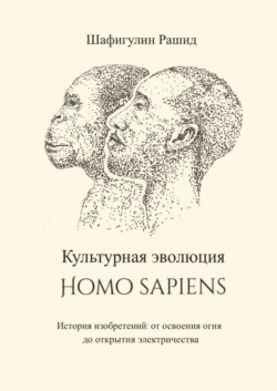 Культурная эволюция Homo sapiens. История изобретений: от освоения огня до открытия электричества