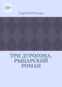 Три дурогона. Рыцарский роман