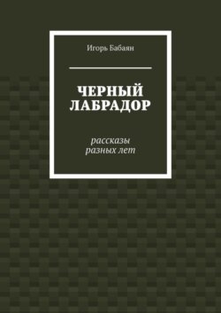 Черный лабрадор