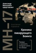 MH-17. Хроника пикирующего Боинга. Правда о самолете, который никто не сбивал