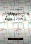 Лаборатория души моей. Сборник стихов