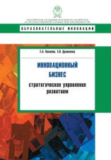 Инновационный бизнес. Стратегическое управление развитием