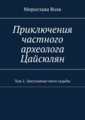 Приключения частного археолога Цайсюлян. Том 2. Запутанные нити судьбы