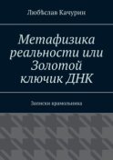 Метафизика реальности или Золотой ключик ДНК. Записки крамольника