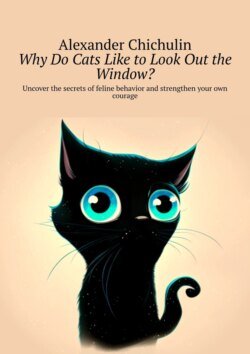 Why do cats like to look out the window? Uncover the secrets of feline behavior and strengthen your own courage