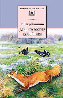 Длиннохвостые разбойники (сборник)